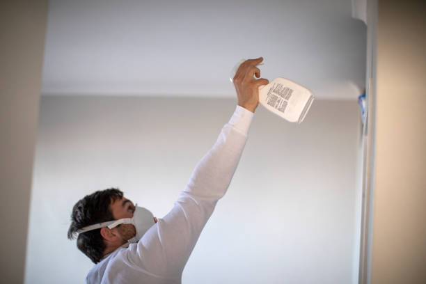Best Home Mold Removal  in Brevard, NC