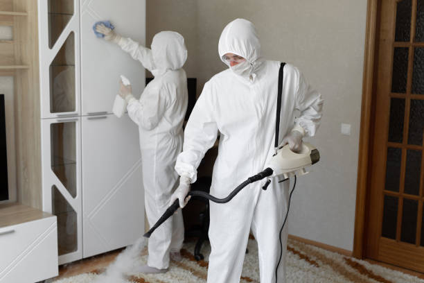 Attic Mold Removal in Brevard, NC